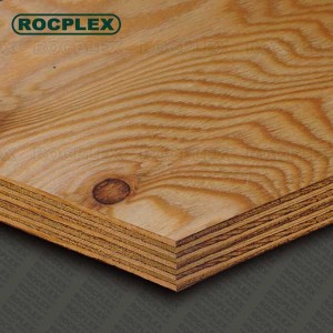  Structural Plywood Sheets 2400 x 1200 x 15mm CD Grade ( Para sa structural Use Ply 15mm ) |  SENSO