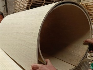 Bending Plywood Fixable Plywood Factory តំលៃថោកប្រទេសចិន 3mm 6mm 9mm plywood Bendable