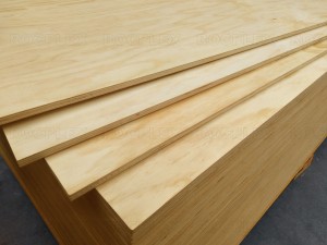 CDX Pine Plywood 2440 x 1220 x 17 mm CDX darajali qatlam (Umumiy: 23/32 dyuym 4 fut x 8 fut CDX loyiha paneli)