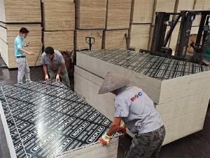 Heißes neues Betonschalungssperrholz China Arten von Schalungs-/Bausperrholz/Schalungssperrholz und Schalungssperrholz für Betonschalungssperrholz