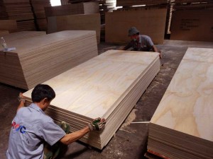 CDX Pine Plywood 2440 x 1220 x 25mm CDX Grade Ply (սովորական՝ 4 ft. x 8 ft. CDX Project Panel)