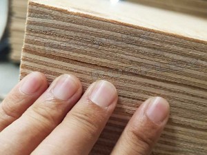  Structural Plywood Sheets 2400 x 1200 x 28mm CD Grade ( Para sa structural Use Ply 28mm ) |  SENSO