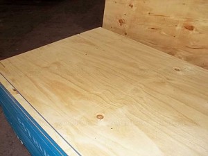 CDX Pine Krydsfiner 2440 x 1220 x 15 mm CDX Grade Ply (Almindelig: 19/30 in. 4 ft. x 8 ft. CDX Project Panel)