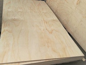 CDX Pine Krydsfiner 2440 x 1220 x 12 mm CDX Grade Ply (Almindelig: 1/2 in. 4 ft. x 8 ft. CDX Project Panel)