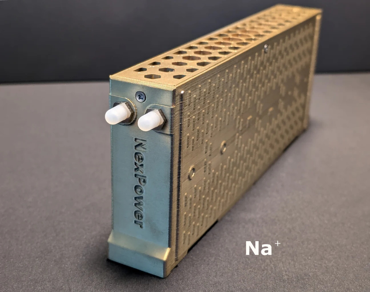 Nex Power Natriummodul