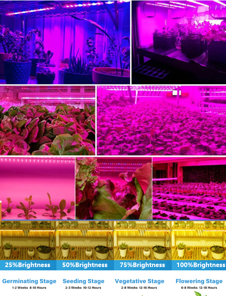28W LED T8 Grow Light Tube for Vertical farms and various vegetables (11)hv3