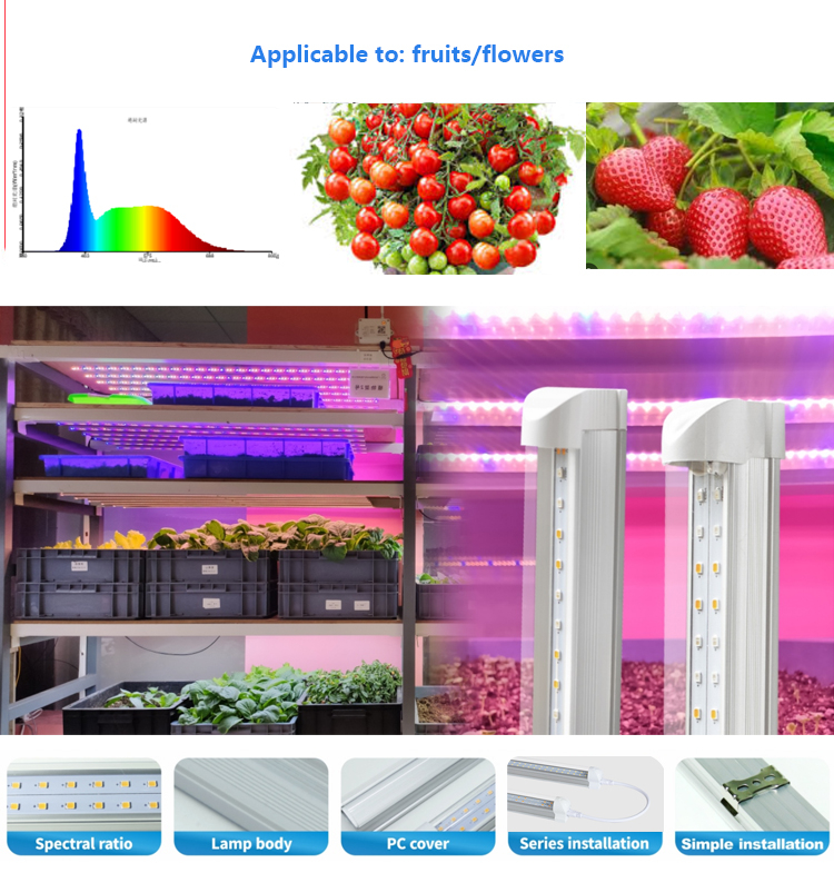 28W LED T8 Grow Light Tube for Vertical farms and various vegetables (13)tgh