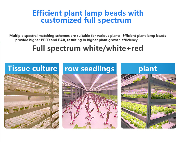 28W LED T8 Grow Light Tube for Vertical farms and various vegetables (14)jzz