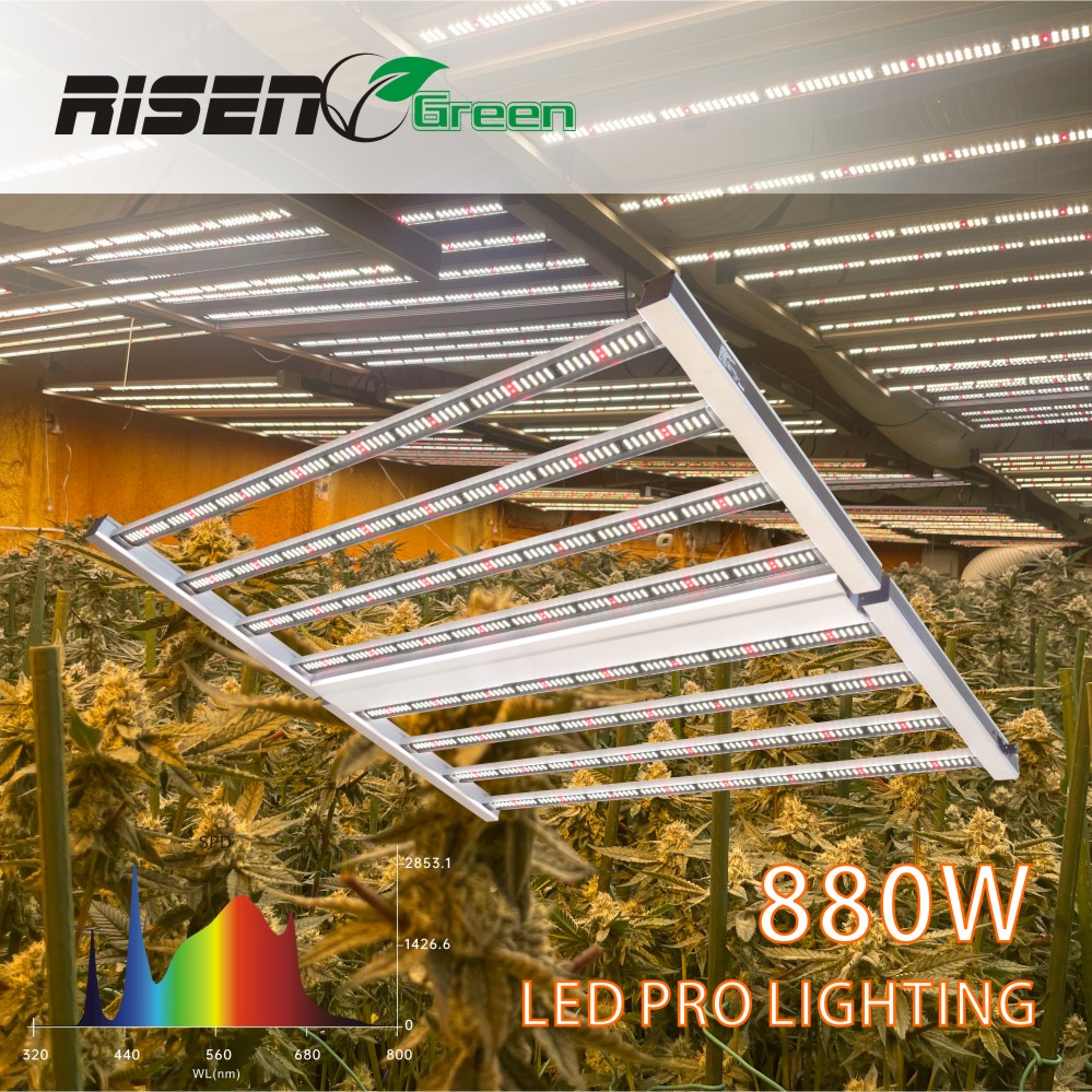 8 choices to a cost-effective LED grow light