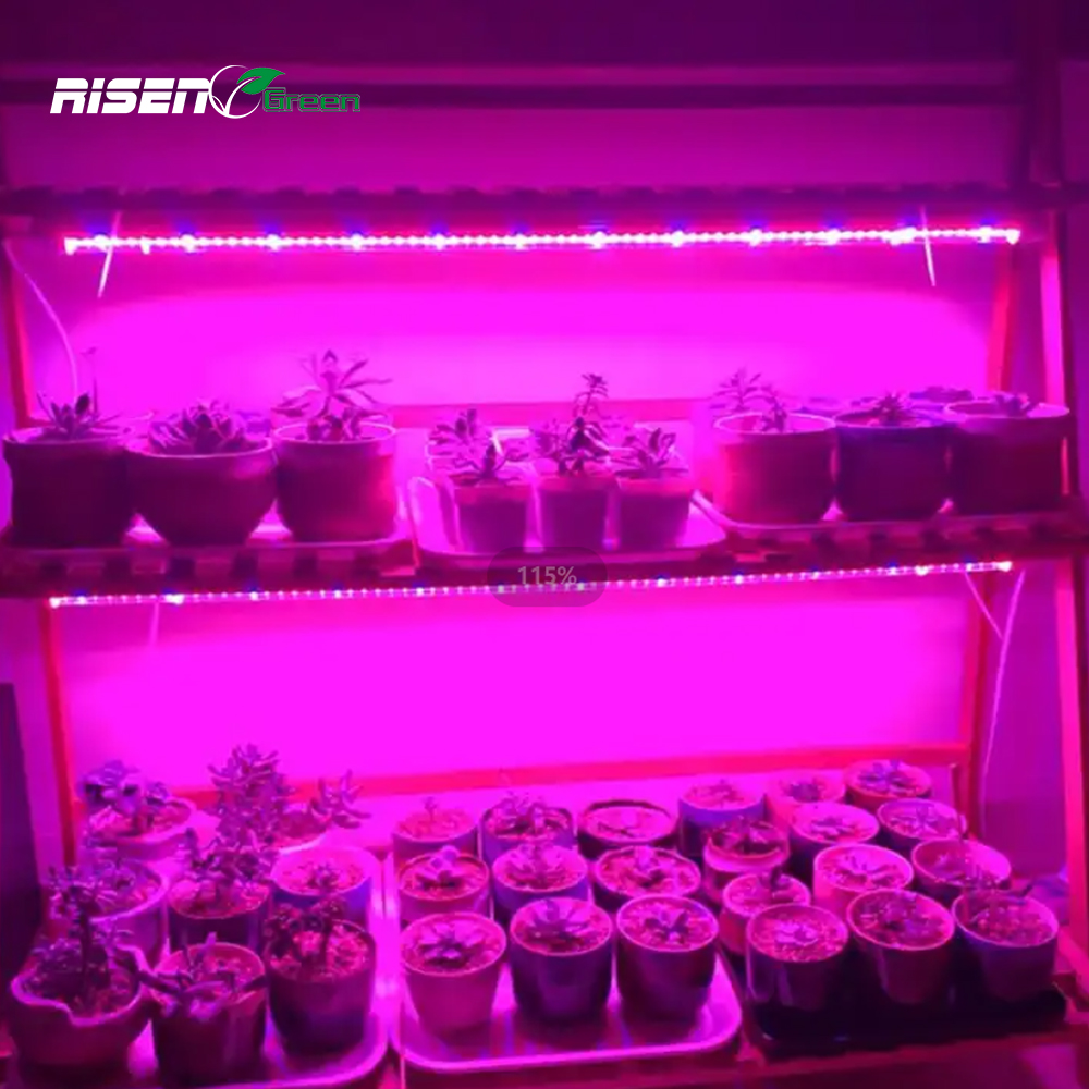 28W LED T8 Grow Light Tube for Vertical farms and various vegetables