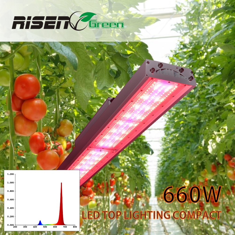 880W LED Grow Light Full Spectrum Hydroponic ETL CE Approved (1)tjb