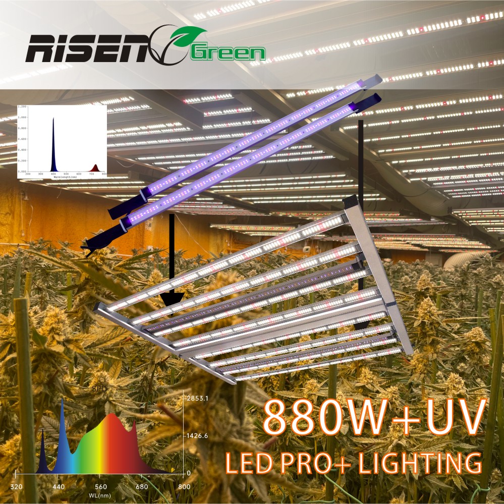 880w grow light with uv ir high quality seed bloom 480w 660w 700 450 watts dimmable led grow light for growing vegetable