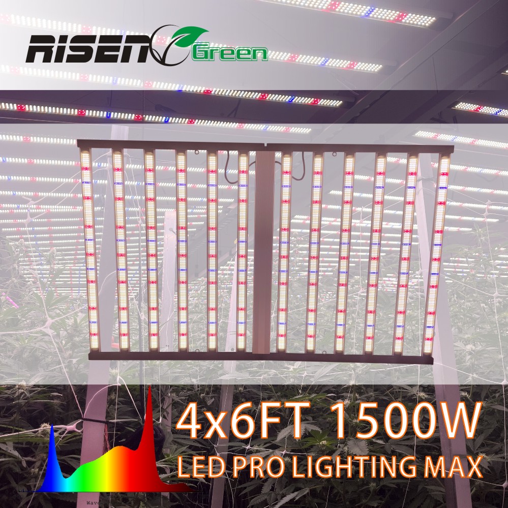 1500W 4x6ft Hydroponic Greenhouse LED Grow Light HPS 1000w Full Spectrum lm301B Foldable Plant LED Grow lights 1000w 10 Bars