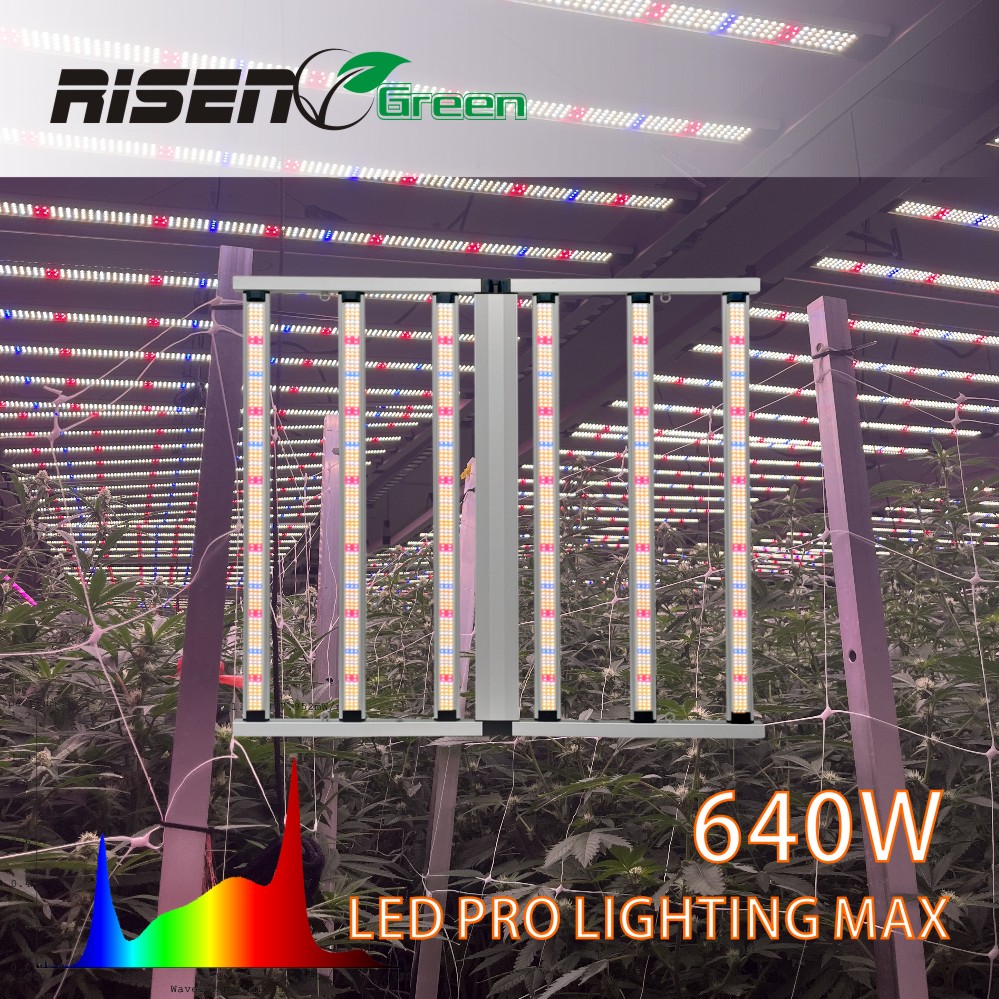 640W Horticulture Greenhouse Dimmable Full Spectrum Led Grow Lamp Full Spectrum Indoor Plants Grow Lights Farming