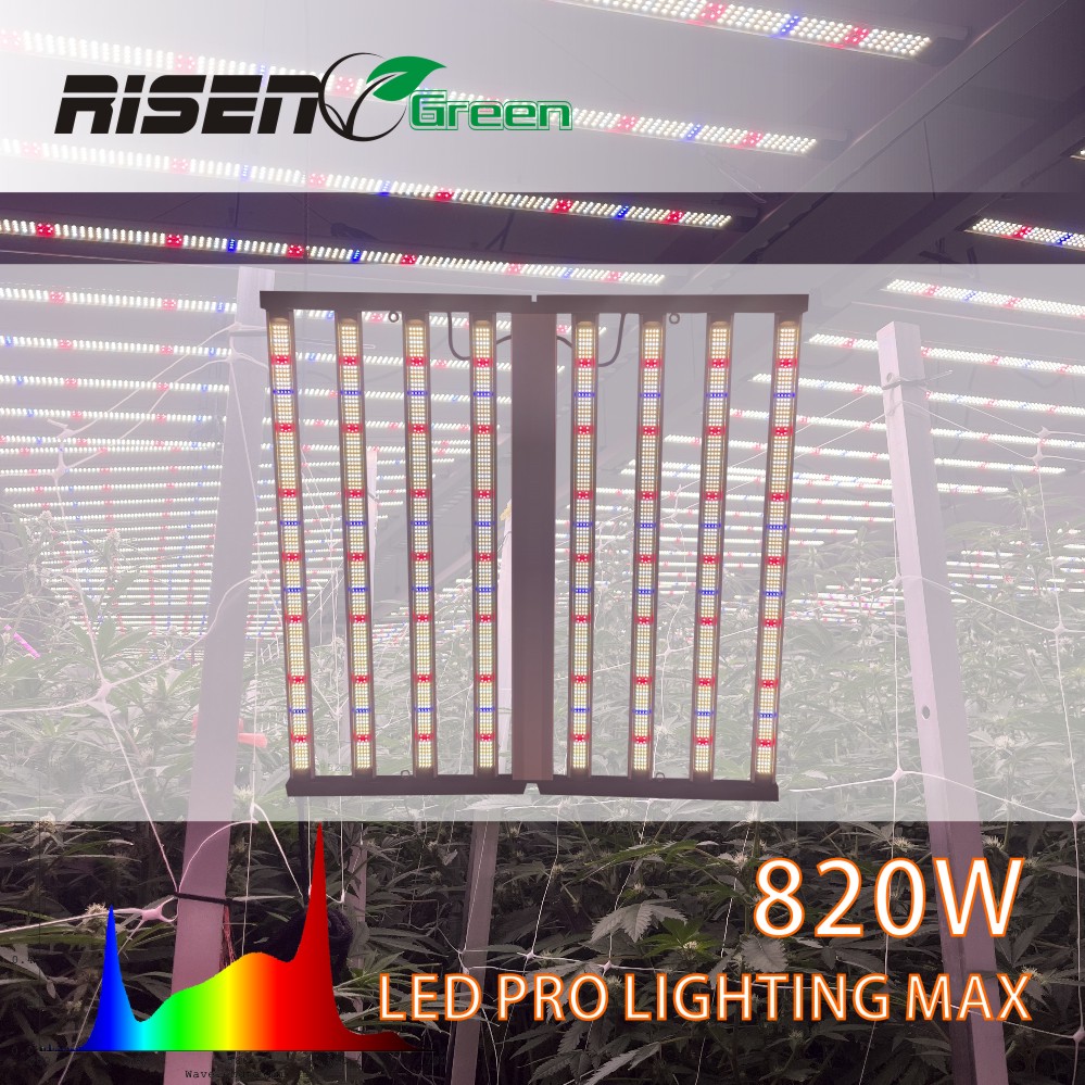 820W Original PPFD 800W led grow lights lm301h evo 4*4 5*5 ft tent 8+2 bar lm281b lm301h custom indoor grow light