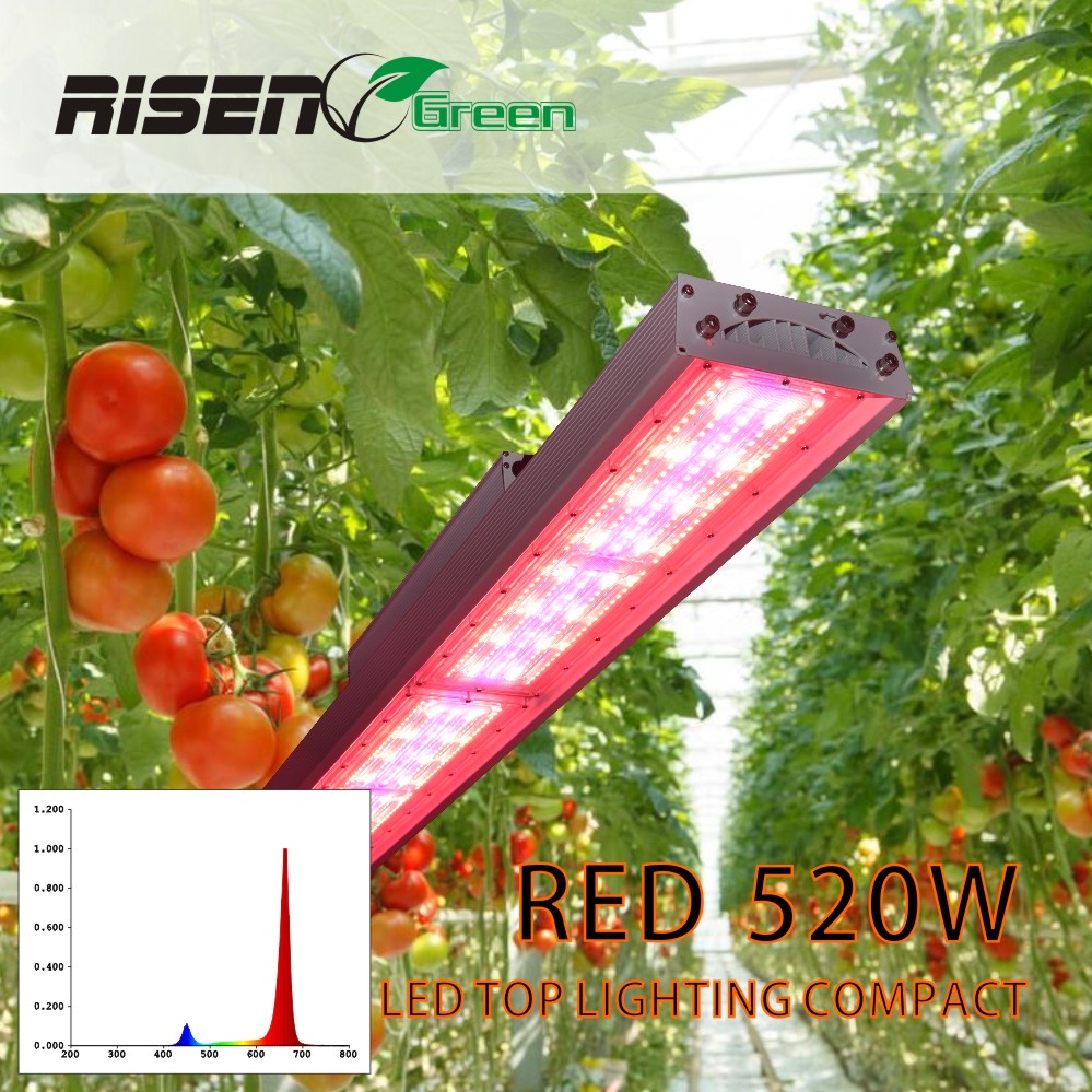 520W Grow Light Kits 630w Full Spectrum Led Indoor Plants Aluminum Led Growlights For Tomatoes