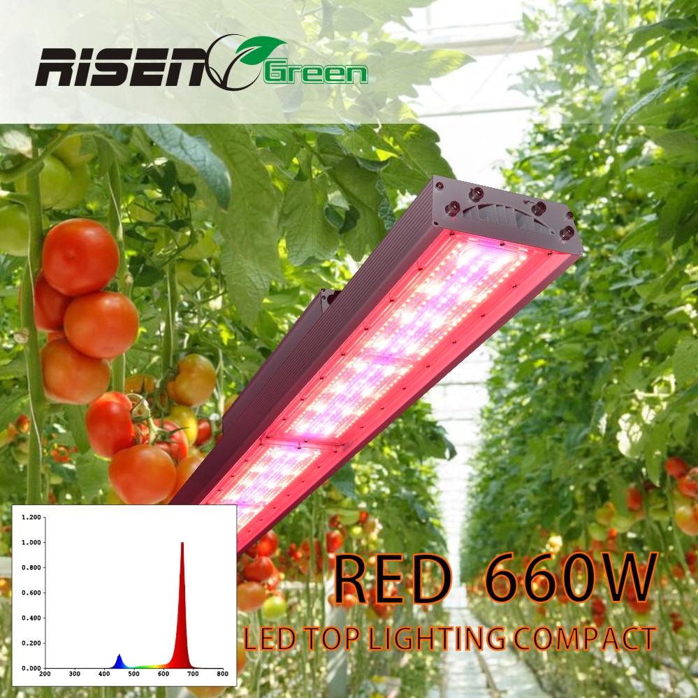 660W 1:1 Replacement HPS Horticultural growing Lighting LED Top lighting compact