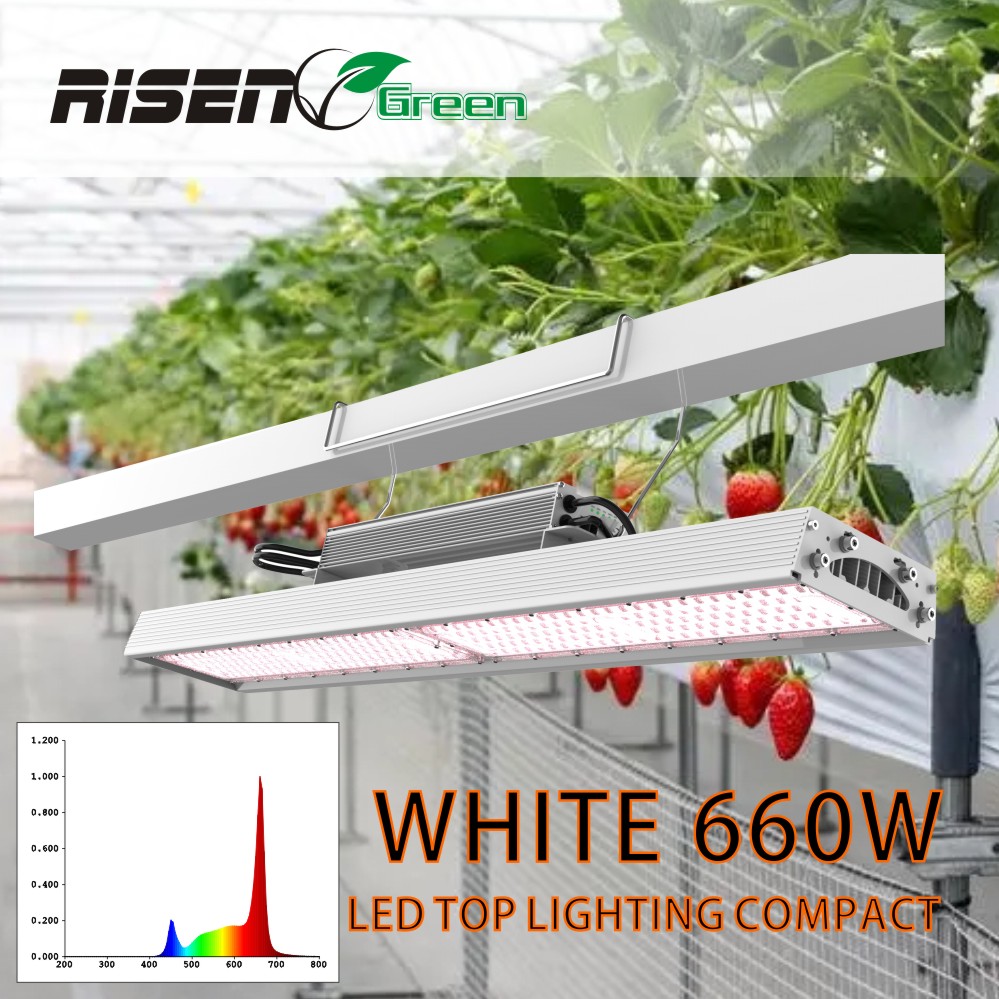660W Full Spectrum Indoor Hydroponic Indoor Plant Grow Light With Leds Full Spectrum Plants Light