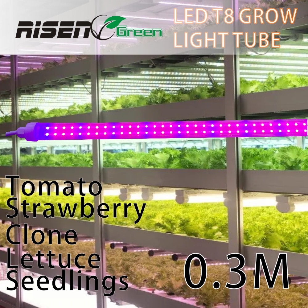 0.3M 9W 8W 6W Hydroponics Ip66 T8 T5 Grow Light Full Spectrum Plant Grow Lamp 18w 24w 4ft Led Grow Light Tube