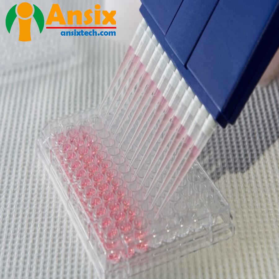 Test tubes and pipettes for Medical  7xi8