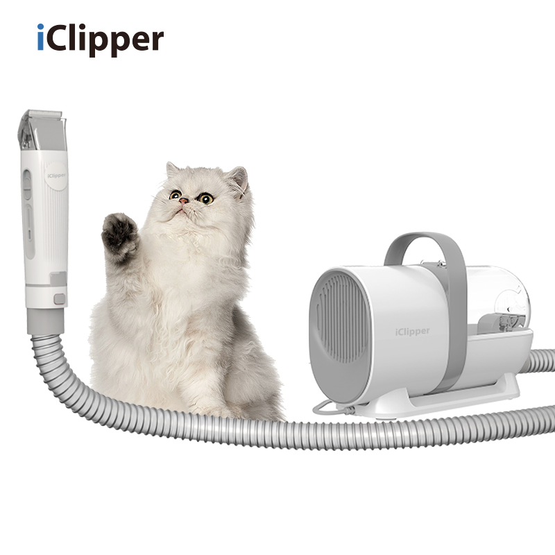IClipper LM3 Electric Pet Hair Clippers Vacuum Dog Clipper მტვერსასრუტი შინაური ცხოველების მტვერსასრუტი შინაური ცხოველების მოვლის ნაკრები