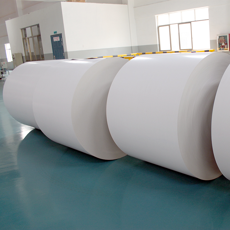 Factory Directly supply China 210/230/250/270/300/350GSM Ningbo Fold Fbb/Ivory Board in Reams for Packing
