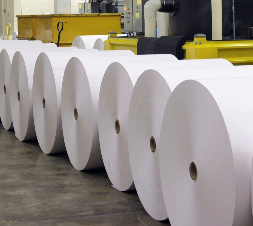 18 Years Factory China C1s Ivory Board/Fbb in Reels/Bristol Paper 230GSM, 250GSM, 300GSM