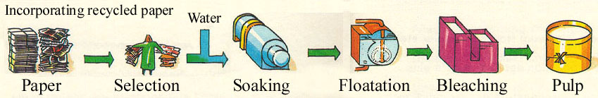 paper recycle process