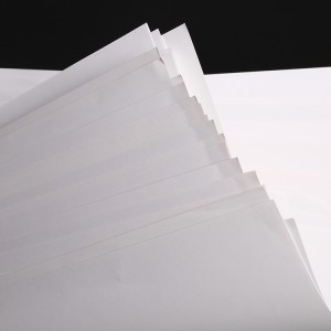 Jualan Panas untuk Kilang OEM China Pukal Tinggi Custom Rolling White C1s Paper Ivory Board dengan 210GSM 300g 450GSM 350GSM