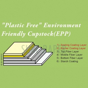 desain anyar Ti APP cupstock ramah (EPP coated) Food Kelas Bio de-gradeable kertas