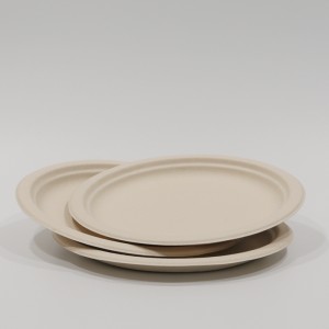 Biodegradable tableware bagasse pulpam cibum continens auferunt arca