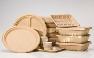 Biodegradable tableware bagasse පල්ප් ආහාර බහාලුම් රැගෙන යන පෙට්ටිය
