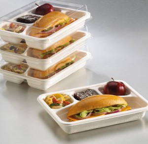 I-Biodegradable tableware bagasse pulp food container take away box